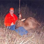 cow_elk2_hunt_other_hunts_lg