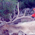 Harlan A.