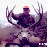 Harlan A.
