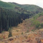 hunting_terrain_1_lg