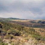 hunting_terrain_2_lg