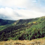 hunting_terrain_3_lg