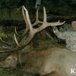 Kyle V.