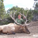 Mark B.