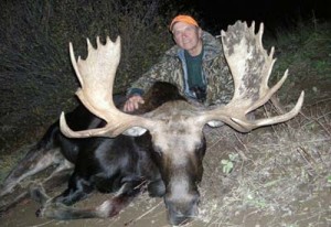 shiras moose hunts