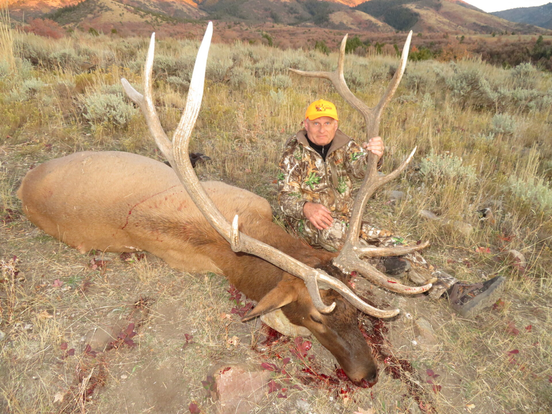 Elk – J&J Outfitters
